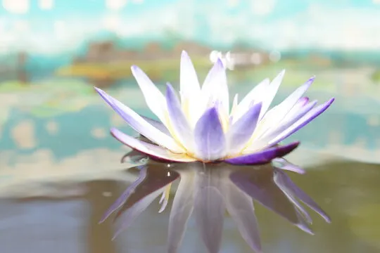 极速飞艇 背景图